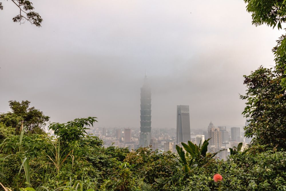 Der Ausblick von Elefantenberg auf den 101-Tower