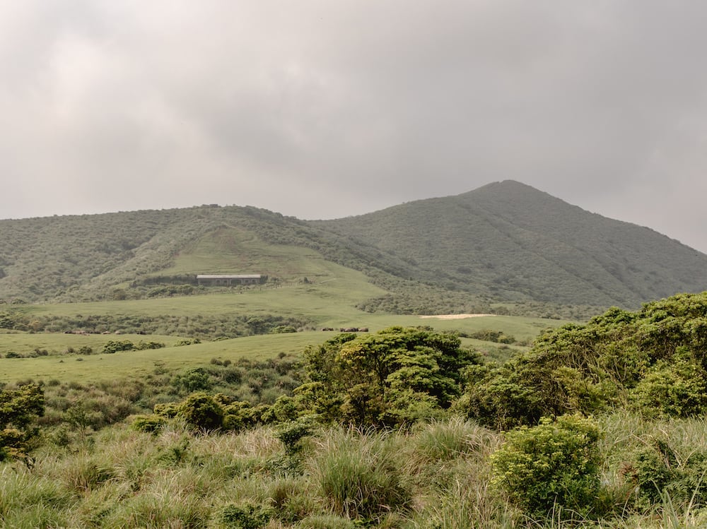 Grüne Hügel im Yangmingshan Nationalpark
