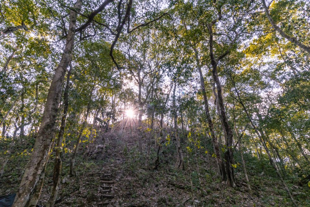 El Mirador verborgene Maya-Ruinen unter Hügeln