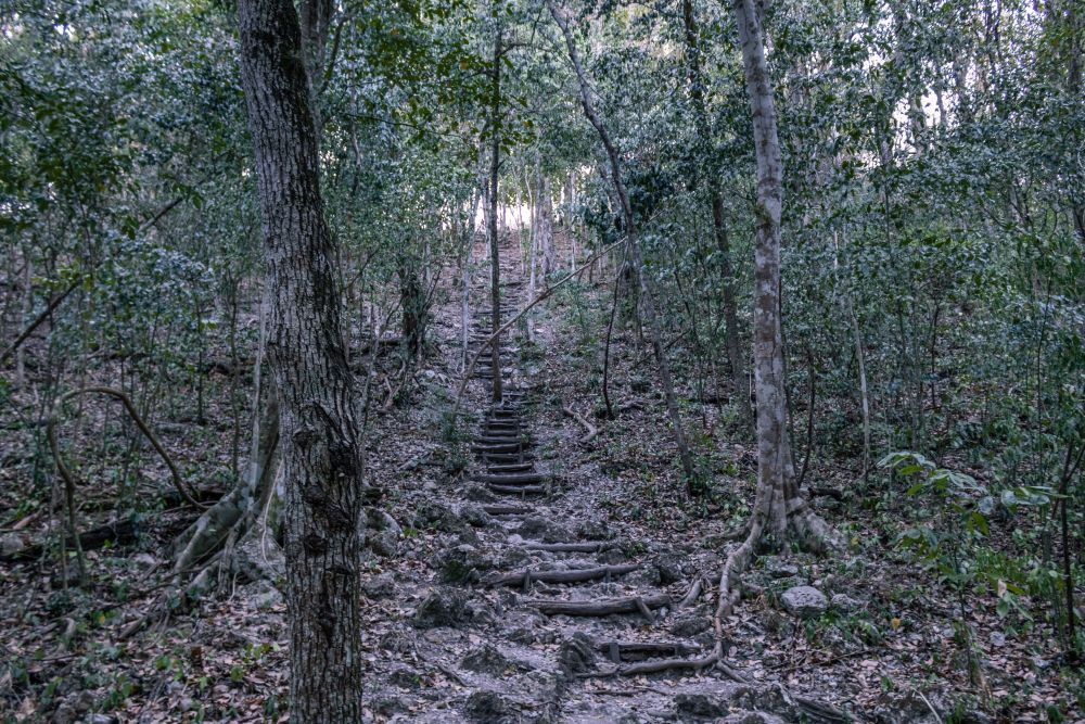 El Mirador steil hoch