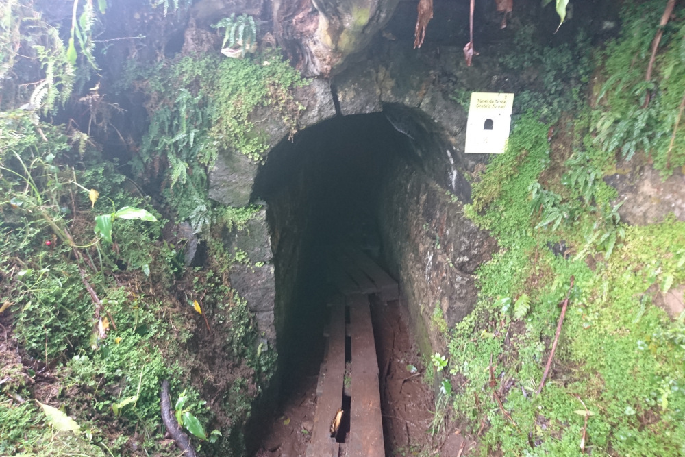 Einer der vielen Tunnel auf Sao Miguel.