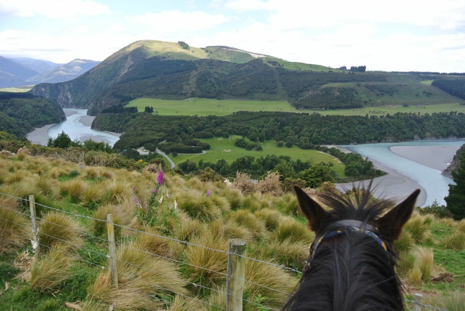 Tipps für Christchurch – mit dem Pferd durch Neuseeland
