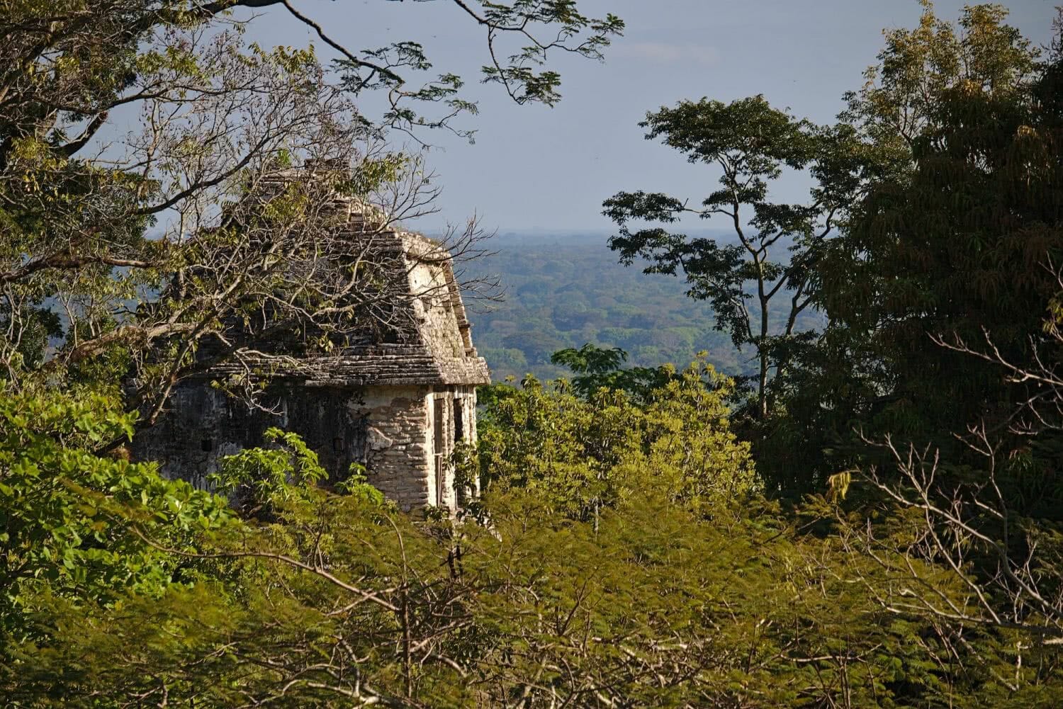 Palenque Maya-Ruinen & Agua Azul – Unser Reisebericht