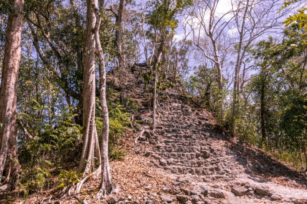 El Mirador: Warum wir in Guatemala 6 Tage durch den Dschungel wanderten