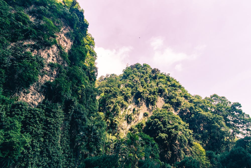 Malaysias Kalksteingebirge wirkt schon ganz schön beeindruckend