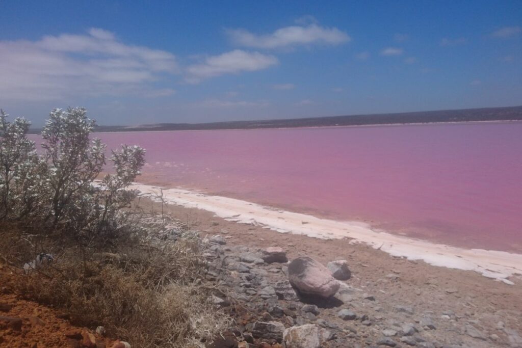 Der See in auffällig pinker Farbe