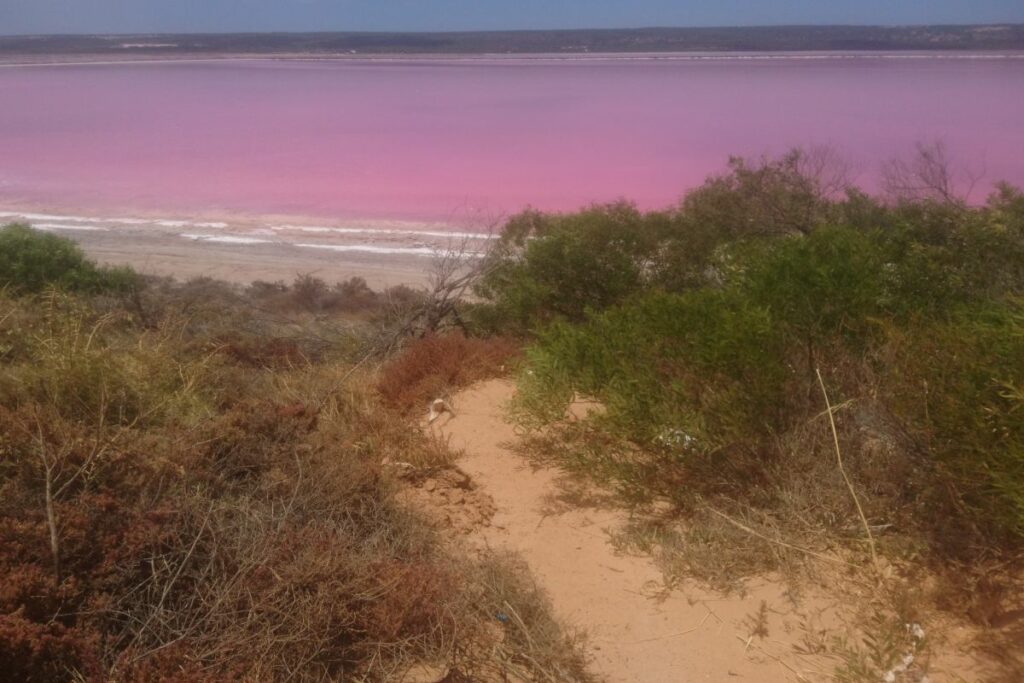 Zugang zum Strand des Pink Lake