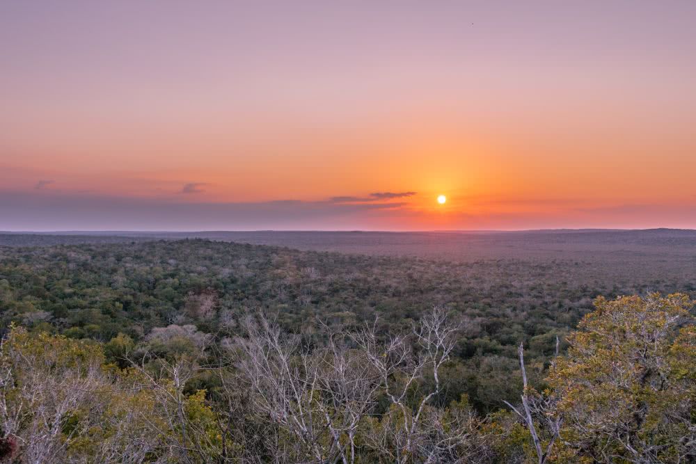 Viele verborgene Maya-Ruinen zum Sonnenuntergang in El-Mirador