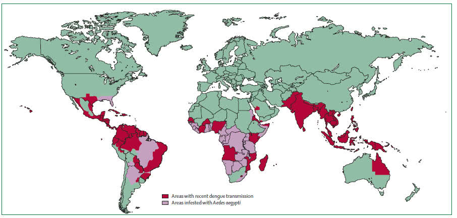 Dengue-Fieber-Verbreitung-Weltkarte