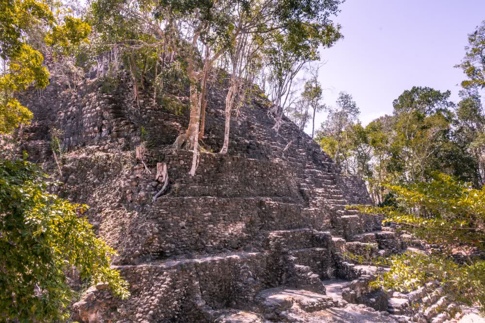 Guatemala Unzählige verborgene Maya Tempel entdeckten wir in El Mirador