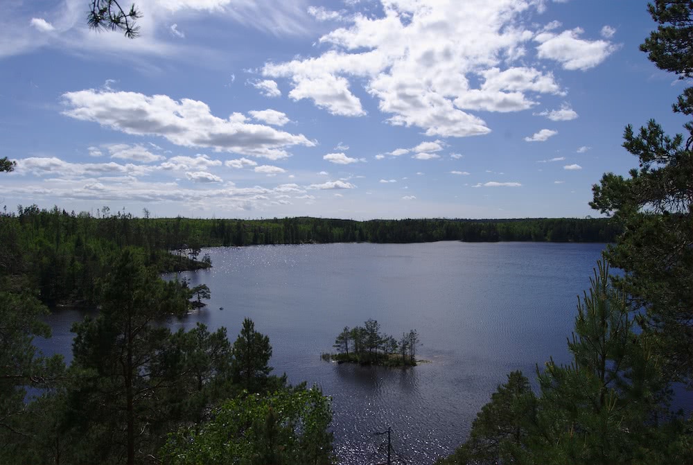 Mehr Sehen: Stockholm - Ulriksdal Schloss und Tyresta Nationalpark 7 Der Blick auf den Stensjön ist überwältigend.