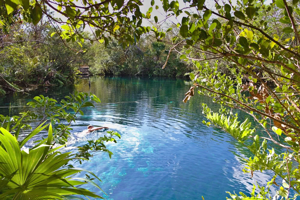 Weltreise: Unterwegs in Cancun und Tulum 5 Die Cenote "Carwash" gleicht einem kristallklarem See in Mitten des Dschungels.