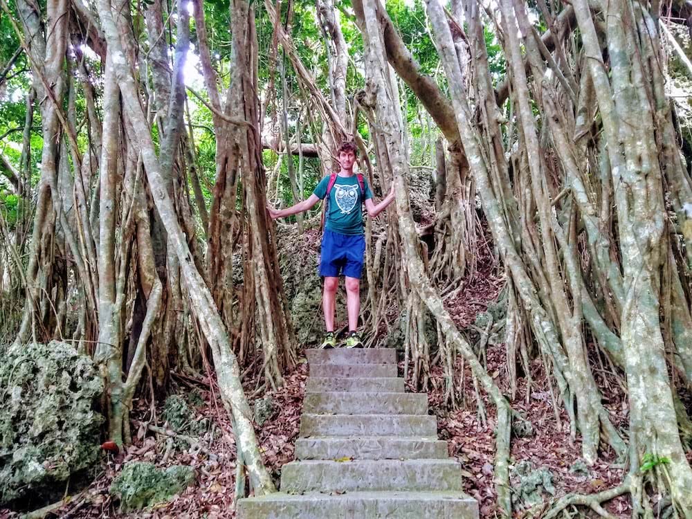 Weltreise: Der Kenting Nationalpark – Der südlichste Punkt Taiwans 13 Durch Felsen und Luftwurzeln führte ein gut gepflegter Wanderweg.
