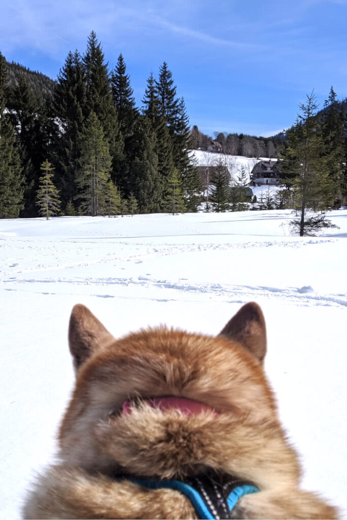 Aussicht auf die verschneite Winterlandschaft in der Steiermark