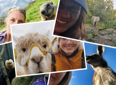 Lustige Tierbilder & Selfies – Reiseblogger zeigen ihre besten Fotos