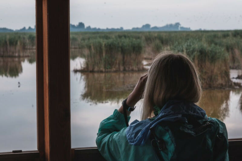 Neusiedler See – Aussichtspunkte, Tiere im Nationalpark & Fotospots