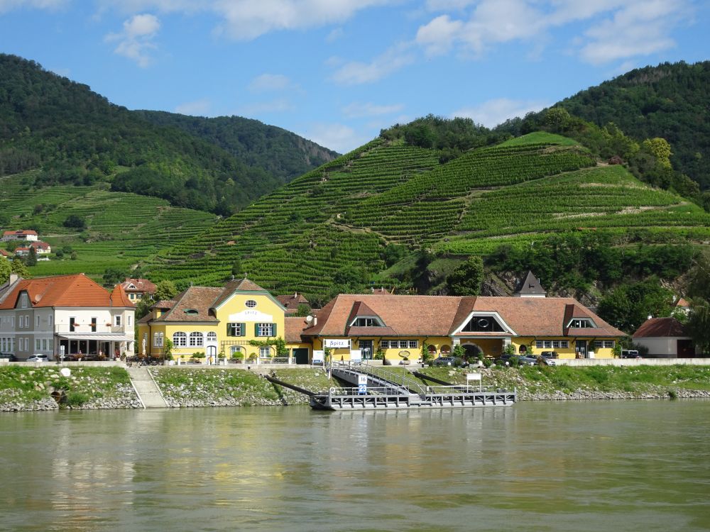 Ausblick während einer Donau-Kreuzfahrt in Österreich