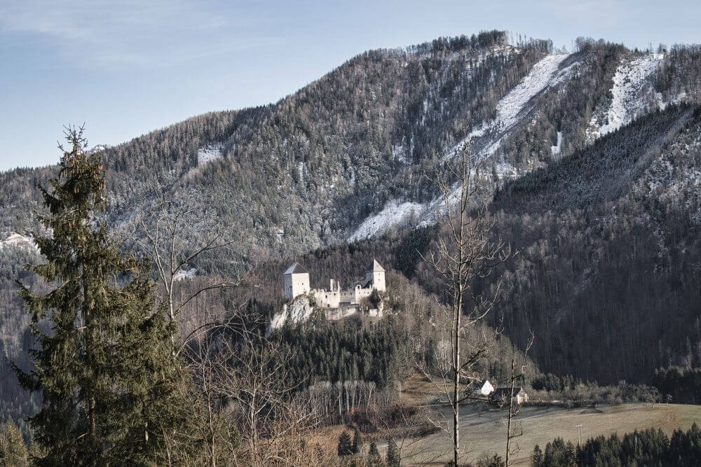 Die Burgruine Gallenstein thront auf einem bewaldeten Hügel