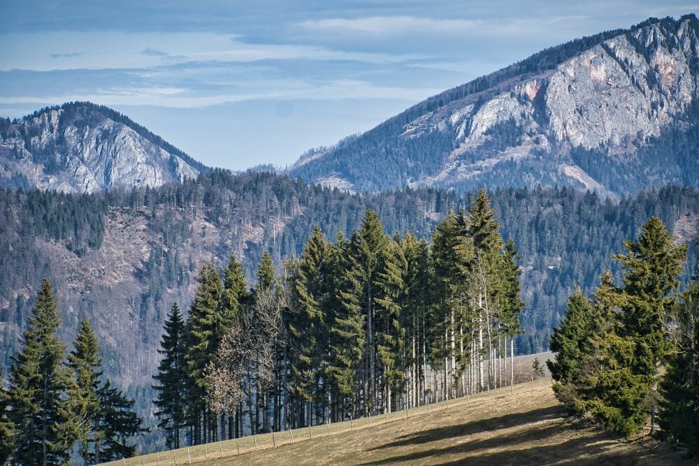 Wandern im März in der Steiermark –  unsere schönsten 3 Touren