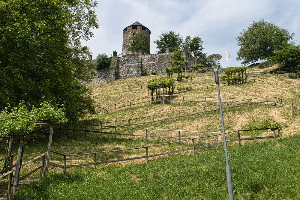 Ausblick auf die Burg vom Tal aus