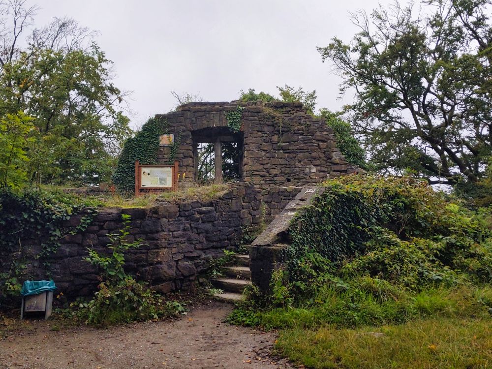 Die Ruinen der Burg Neu-Isenburg