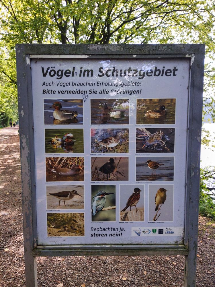 So viele verschiedene Vögel leben hier im Naturschutzgebiet