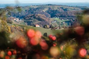 Die schönsten Herbstwanderungen liegen in der Südsteiermark