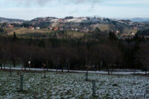 Ausblick auf die Weinberge am Hochgrail im Winter