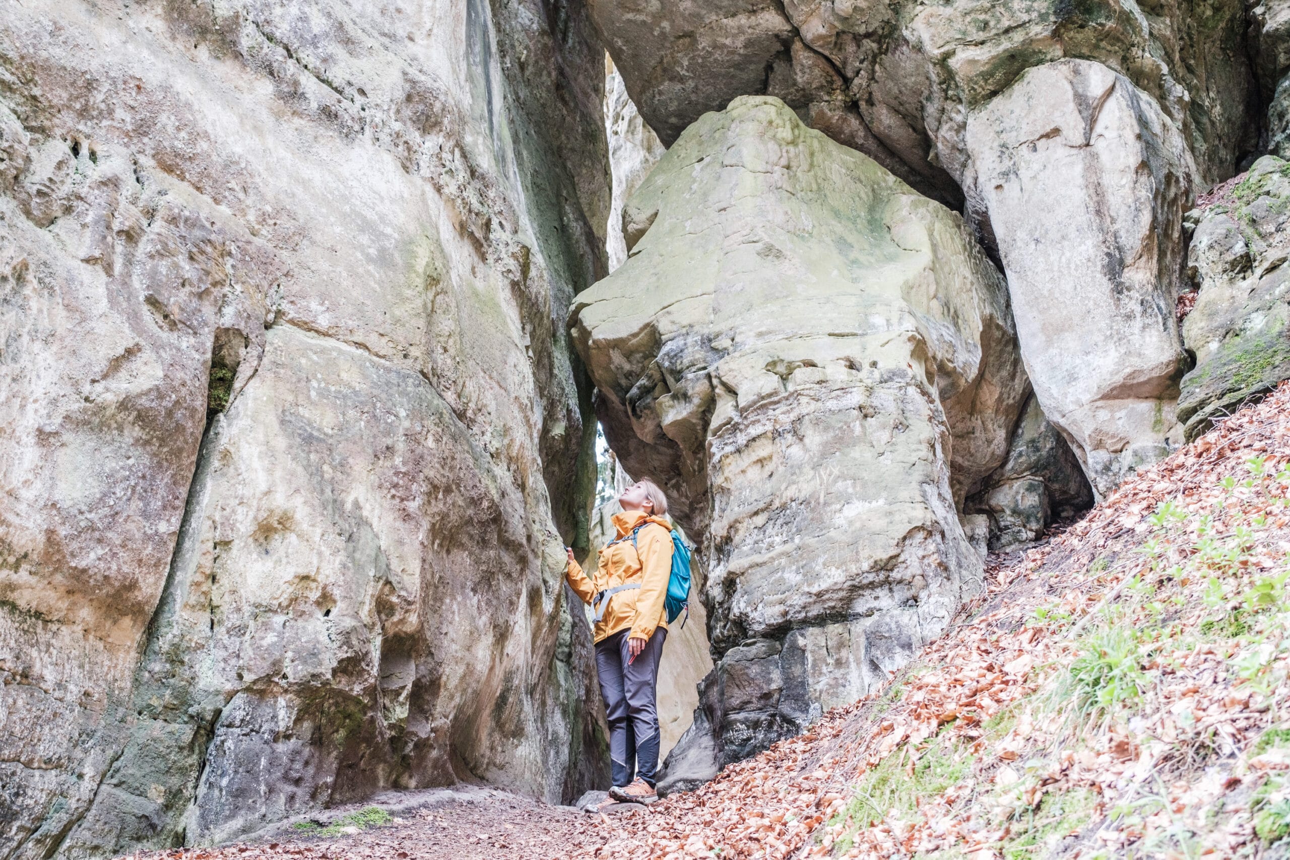 Wandern in Luxemburg – 3 unvergessliche Touren zwischen Eislek und Müllerthal