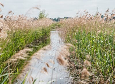 Schöne Orte in Belgien entdecken – Natur, Städte & Geheimtipps