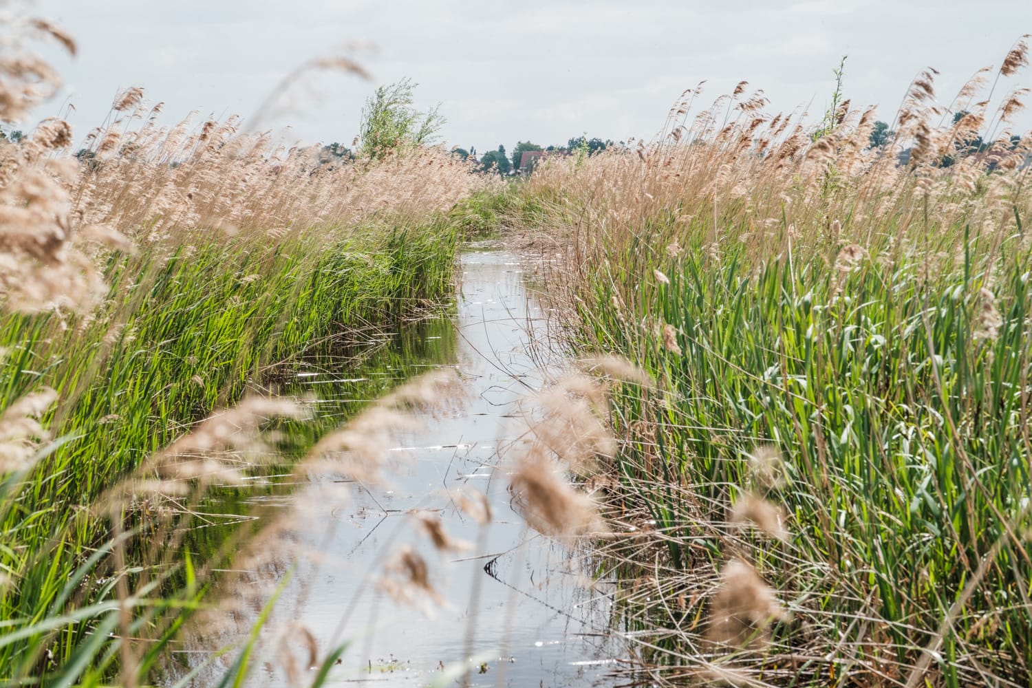 12 schöne Orte in Belgien – Natur, Städte & Geheimtipps