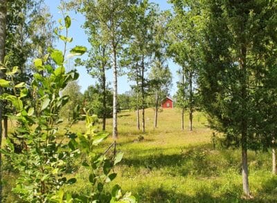 Småland-Roadtrip abseits der Klischees