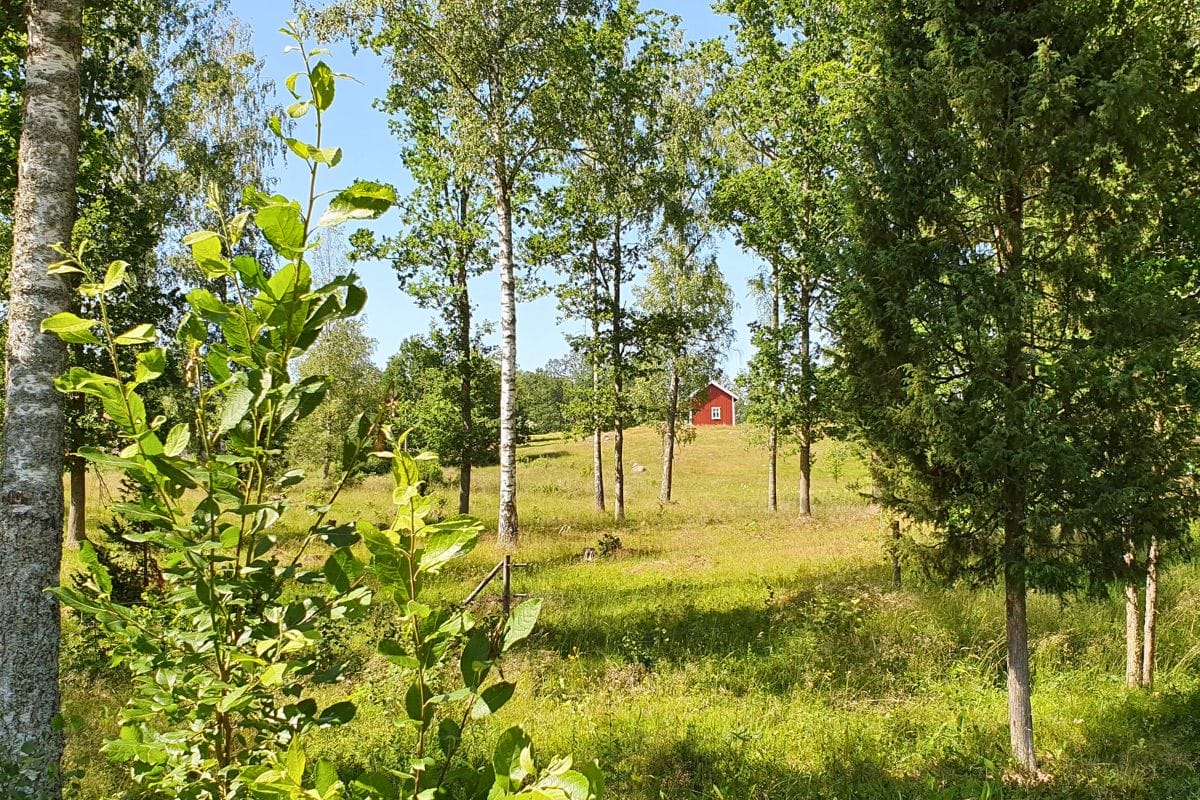 Småland-Roadtrip abseits der Klischees