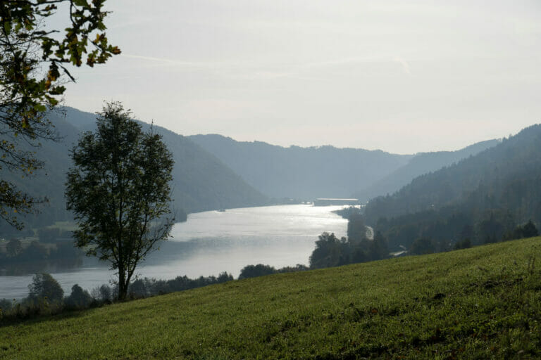 Ausblick auf die Donau während der 2. Etappe