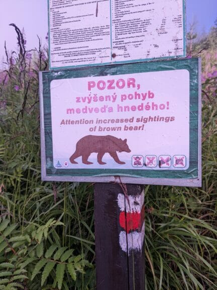 Warnung vor Bären in der Slowakei