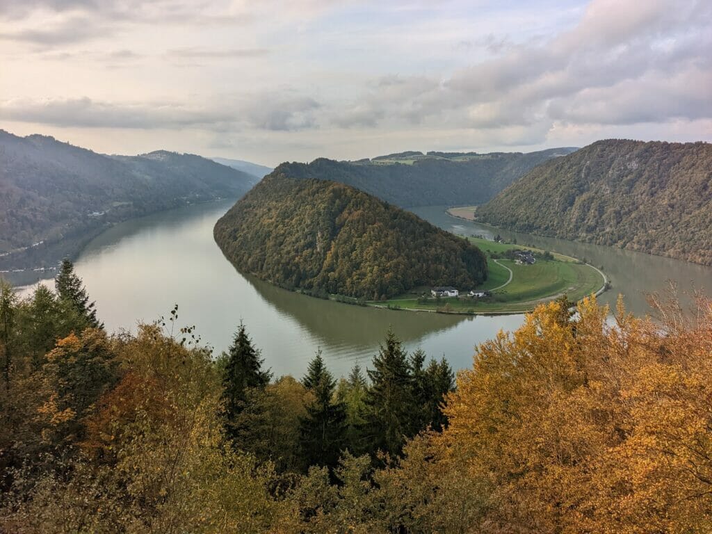 Blick auf die Schlögener Schlinge vom Donausteig