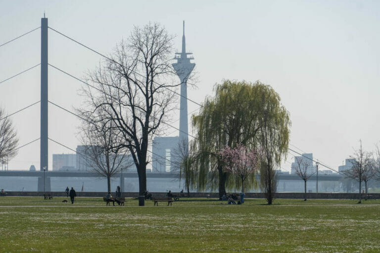 Spazieren durch den Rheinpark Golzheim