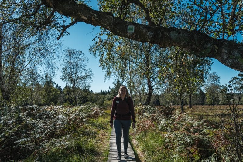 Eifelsteig – Weitwandern zwischen Aachen und Trier