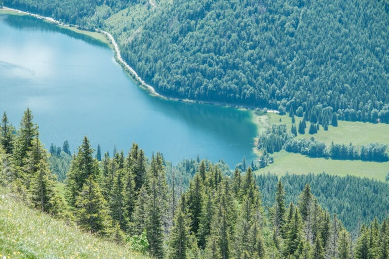 Erlaufsee von der Gemeindealpe gesehen