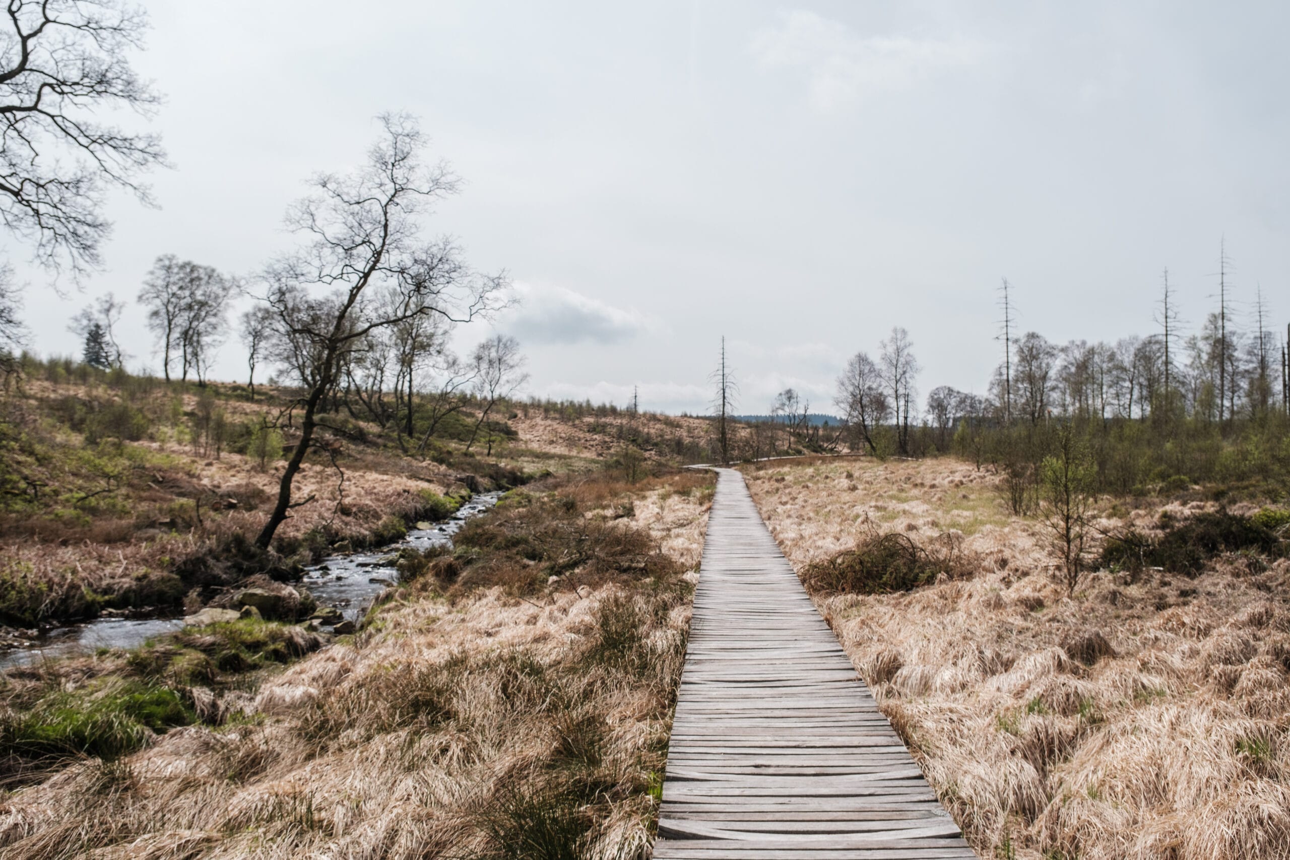 Venntrilogie – Ich war weitwandern in Ostbelgien