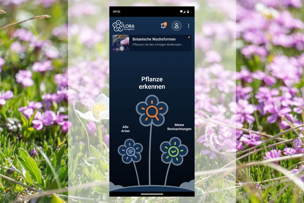 Startbildschirm der App Flora Incognita