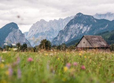 Nationalparks Österreich – Tipps für Ausflüge & Urlaub