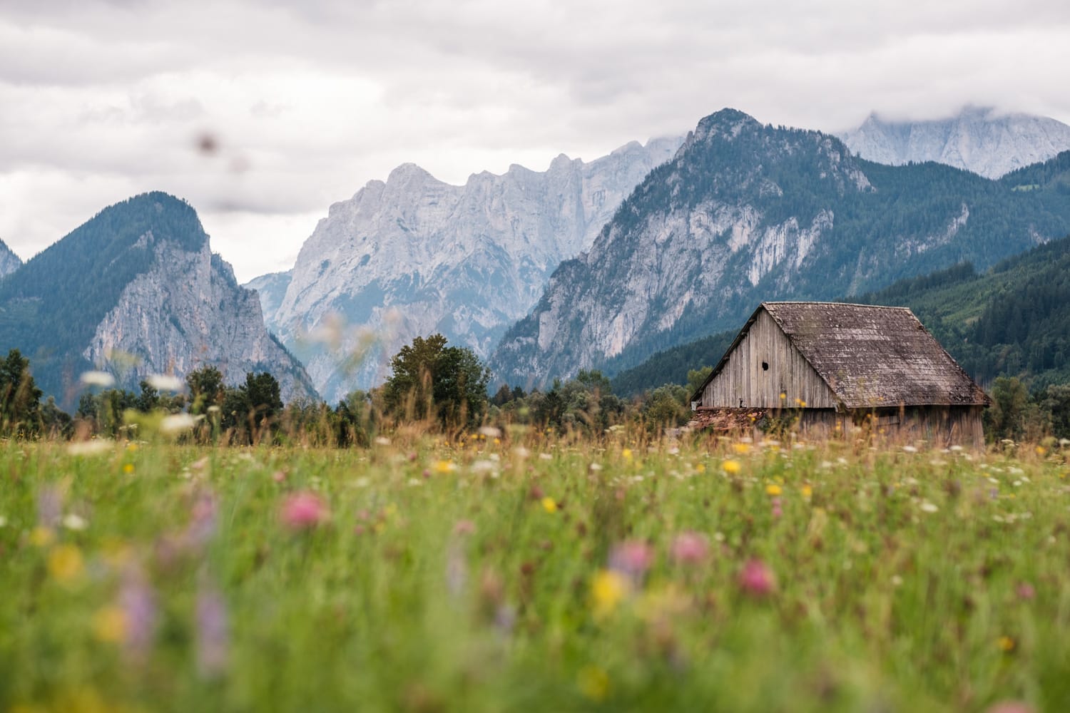 Nationalparks Österreich – Tipps für Ausflüge & Urlaub