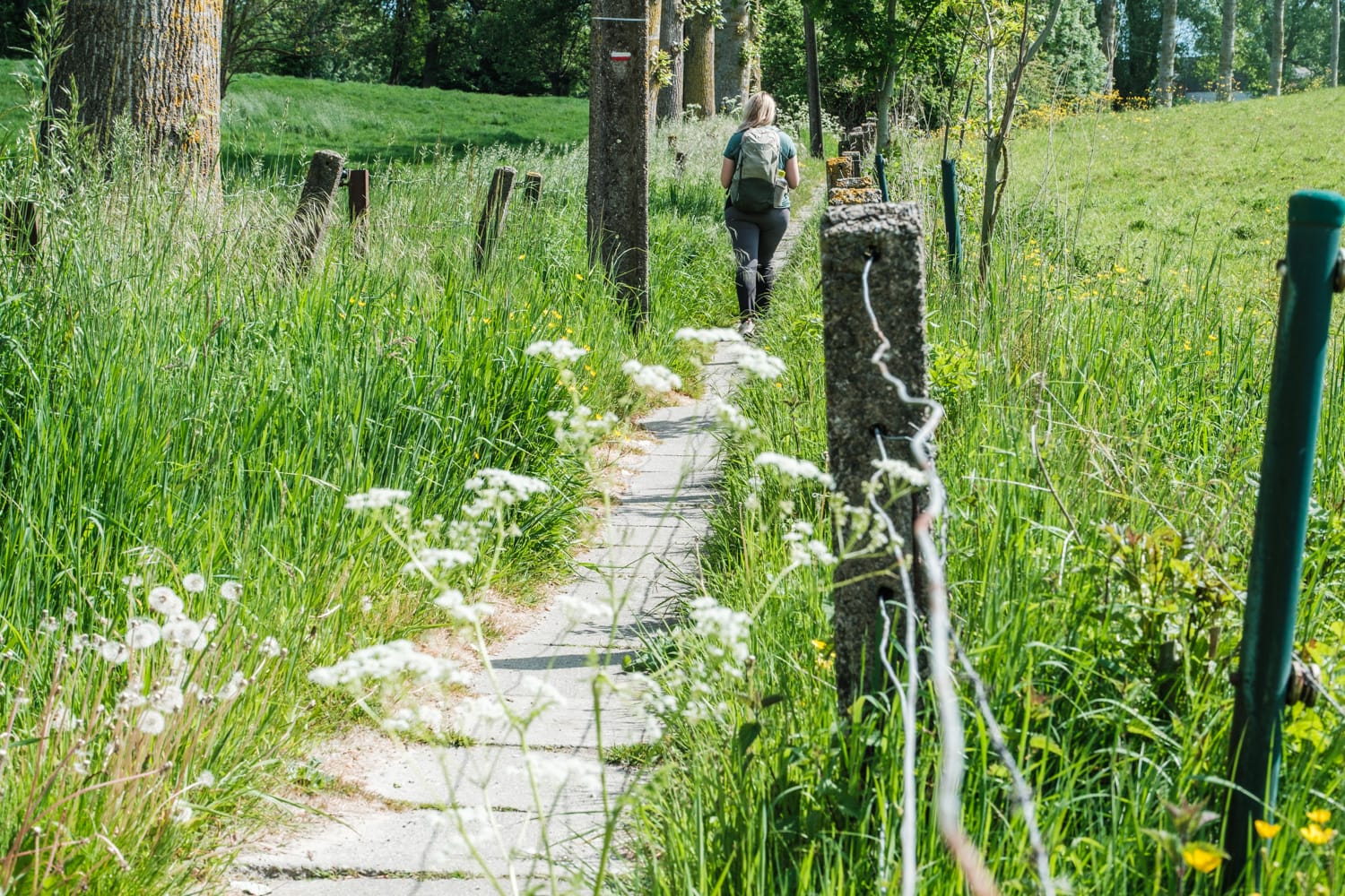 Flandern anders erleben – Meine 14 Tipps für Aktivitäten