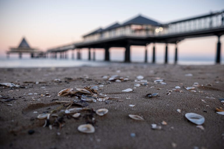 Seebrücke Heringsdorf