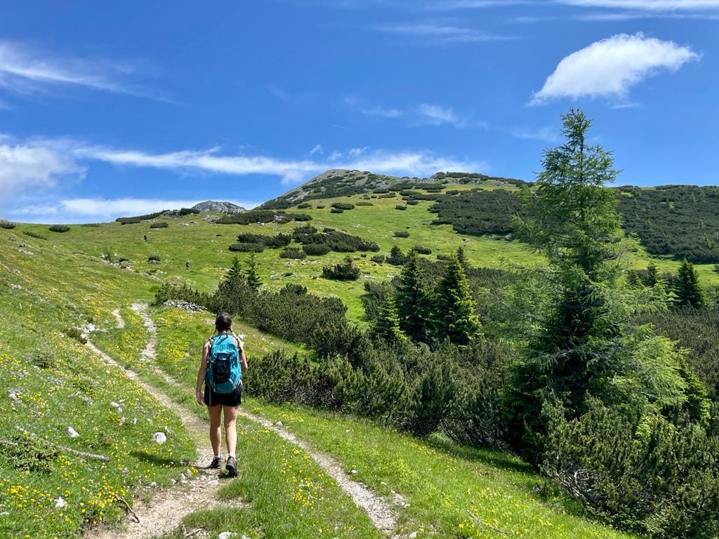 Hochobir im Sommer (Foto: Anna Wolf)