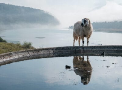 Meine 9 Lieblingsorte in Kärnten