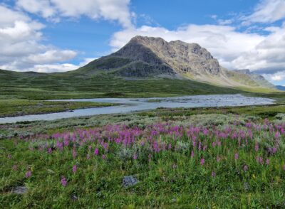 Am Kungsleden unterwegs in Schwedisch Lappland