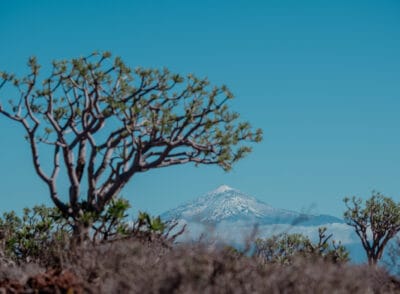 Top-Reiseziele 2026 für Naturliebhaber – Von mir getestet und für gut befunden