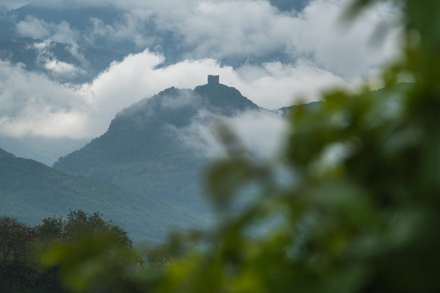 Blick auf die Ruine Leuchtenburg